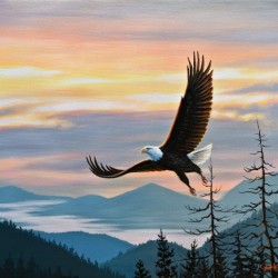 Conquered canvas